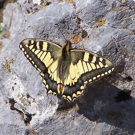 Hostel Turistico Briz Espinama