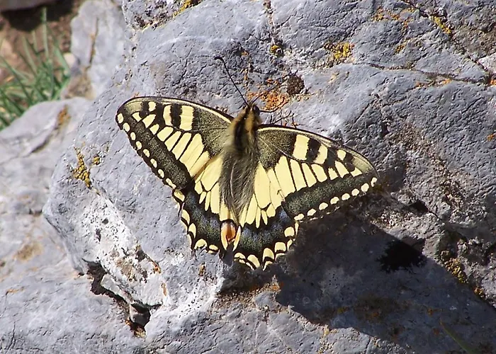 Hostel Turistico Briz Espinama