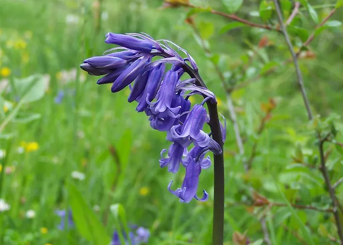 Hostel Turistico Briz Espinama